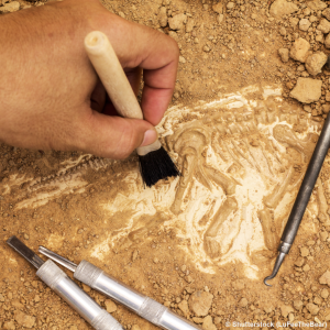 Разработка разделов обеспечения сохранности объектов культурного (археологического) наследия