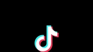 Для чего нужны накрутки подписчиков в TikTok?