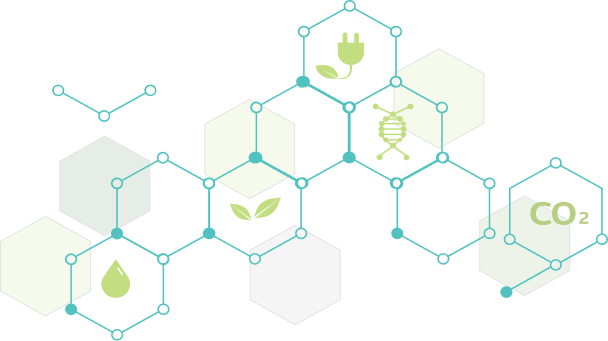 Установка Сверхкритической Флюидной Экстракции: Принципы, Оборудование и Применение