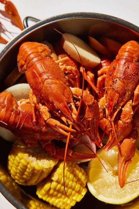 Загадочный мир раков: от древних обитателей до современных деликатесов