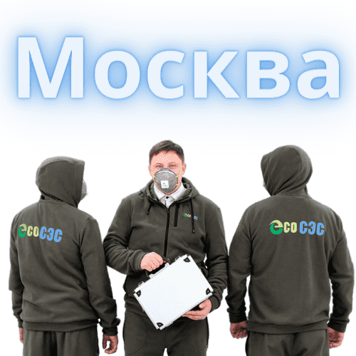 Травля тараканов: эффективные методы борьбы и профилактика появления насекомых