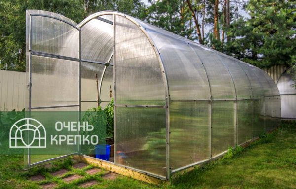 Теплица усиленная 3х6 с основанием: идеальный выбор для выращивания растений